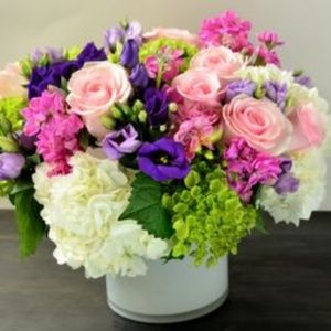 Meet your Posher, Frances